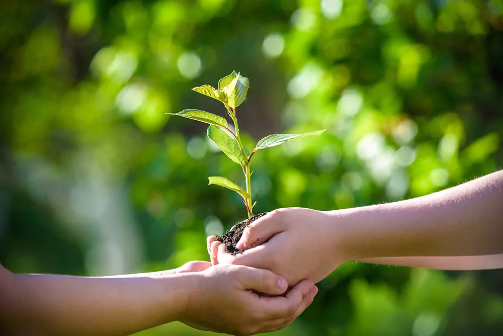 Responsibility and Empathy